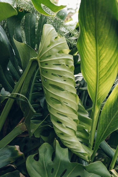 Imposter Syndrome Is Not a Sign You Are Failing — It Is a Sign You Are Growing